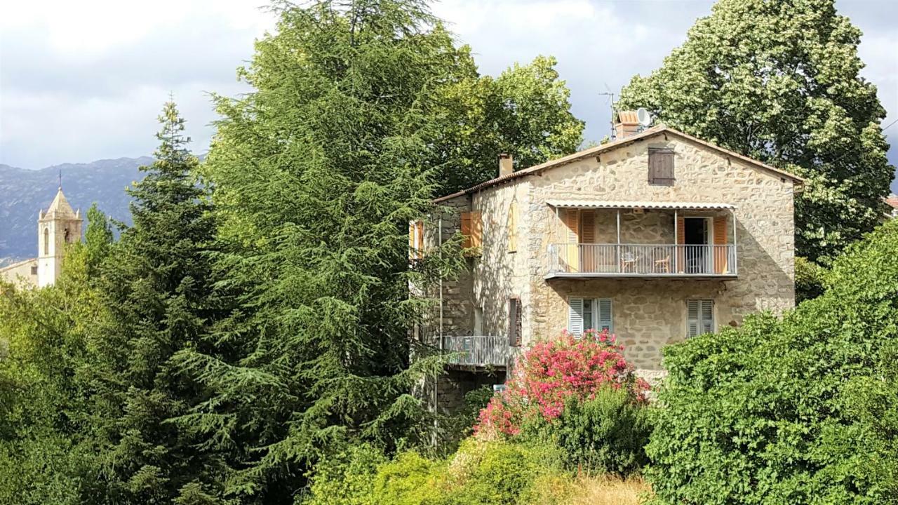 Appartement Housica & Co.